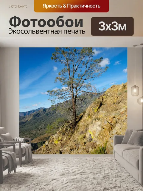 Фотообои Дерево на Mountainside