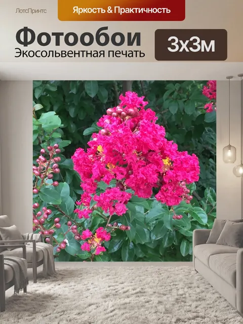 Фотообои Цветок