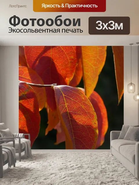 Фотообои Лист