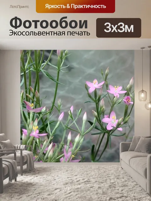 Фотообои Золототысячника