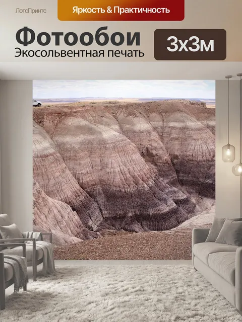 Фотообои Окаменевший лес национальный парк
