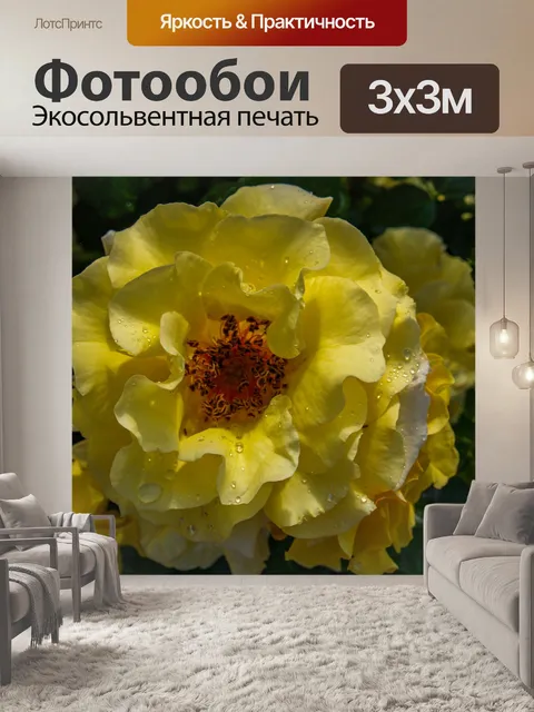 Фотообои Розы