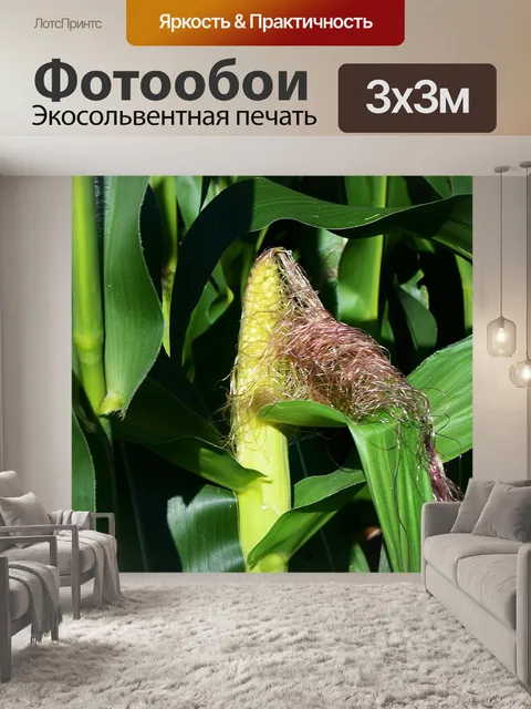 Фотообои Кукуруза