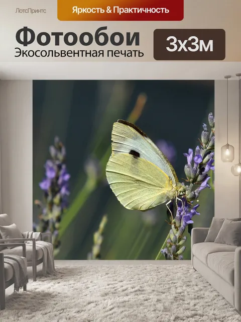 Фотообои Лаванда