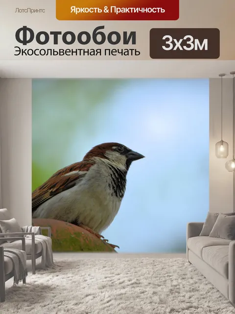 Фотообои Воробей