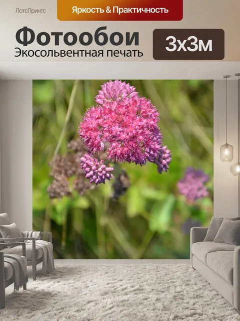 Фотообои Розовые цветы в поле