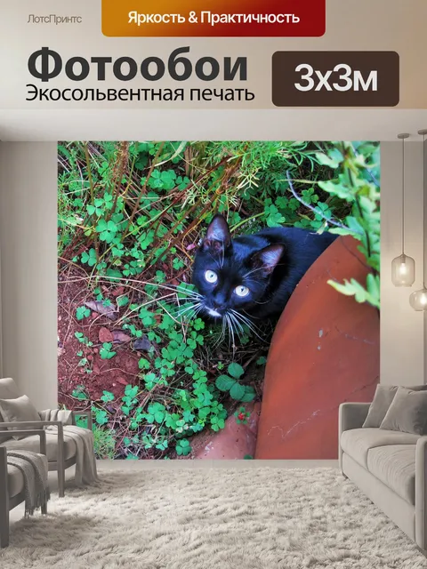 Фотообои Черная кошка в саду