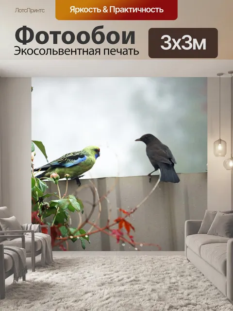 Фотообои Птицы