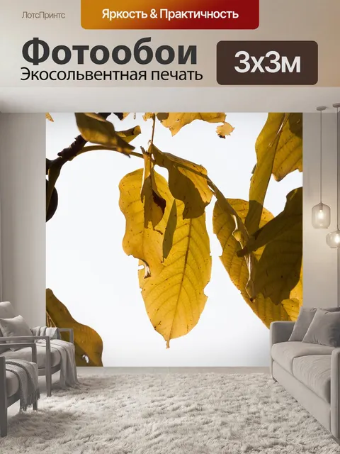 Фотообои Лист