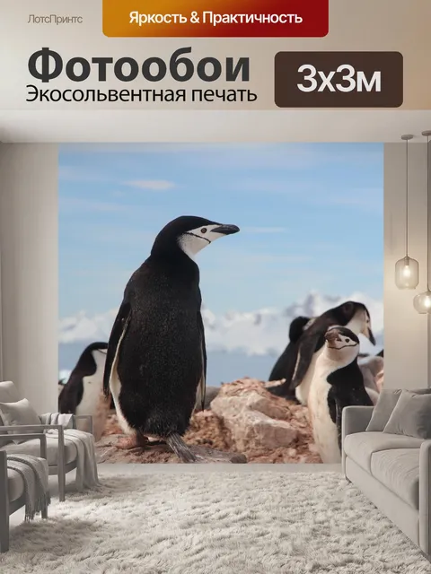 Фотообои Антарктический пингвин