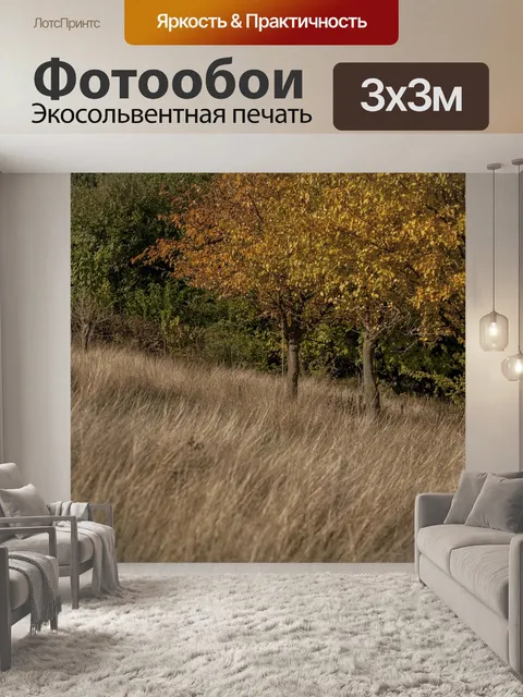 Фотообои Осень