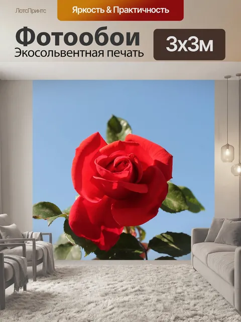 Фотообои Красная роза