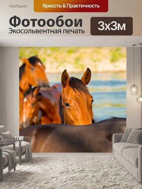 Фотообои Лошади