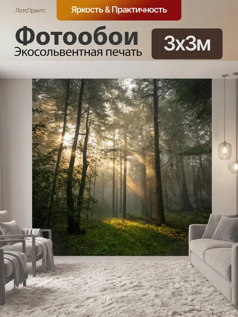 Фотообои лес в утреннем тумане, мягкий свет солнца пробивается сквозь деревья
