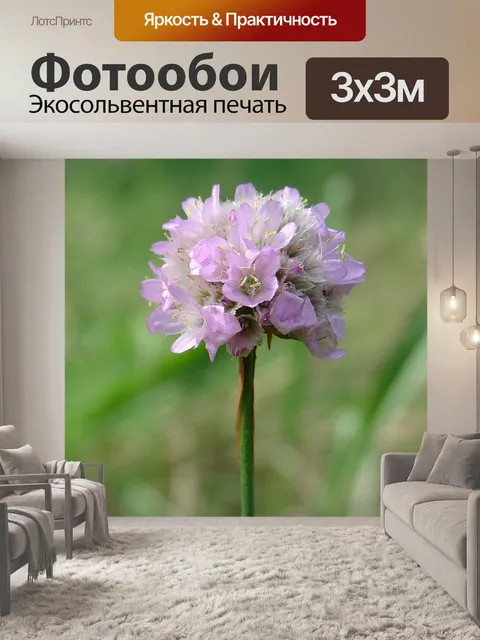 Фотообои Цветок