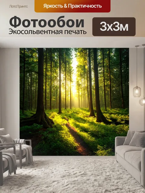 Фотообои лес с ровной полосой света, сквозь которой проявляются детали