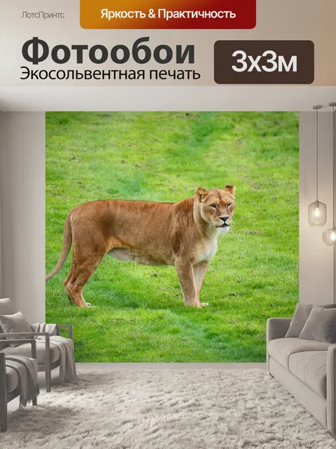 Фотообои Львица