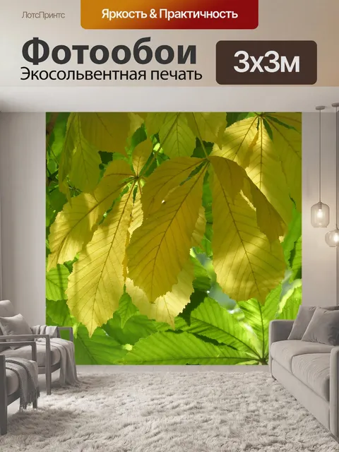 Фотообои Листья каштана