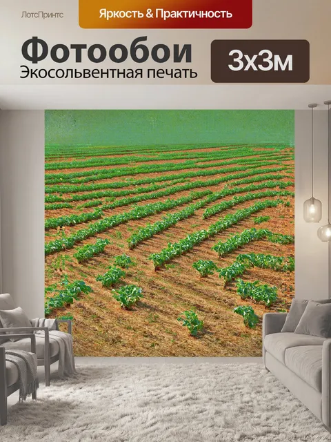 Фотообои абстрактное изображение картофельного поля