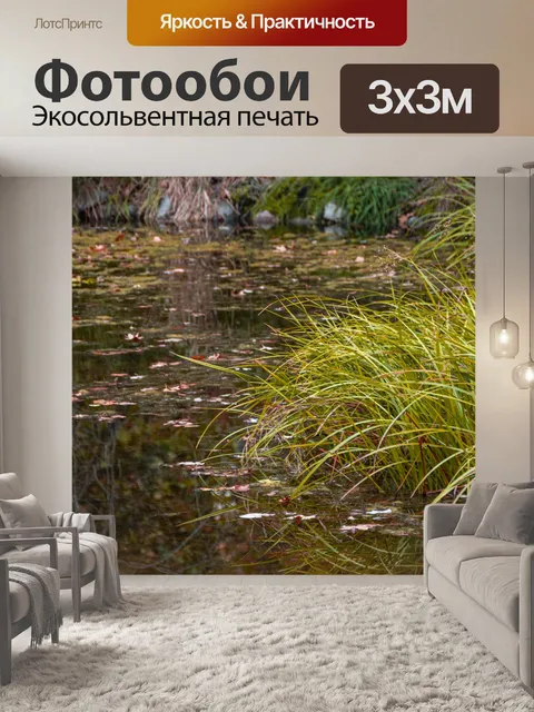 Фотообои Осенний пруд