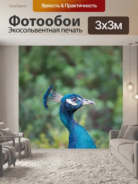 Фотообои Павлин