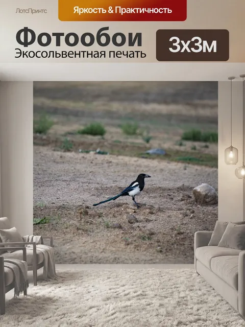 Фотообои Черная Славянная Птица Сорока
