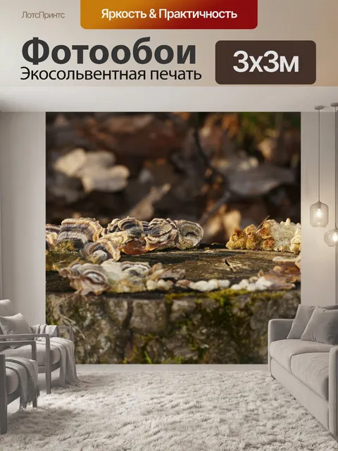 Фотообои Ствол дерева