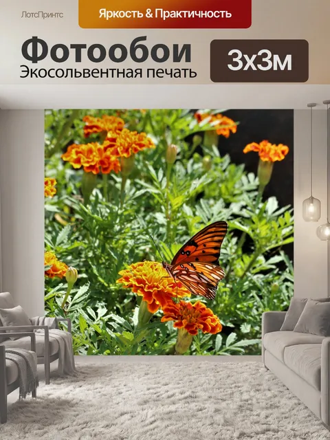 Фотообои Персидский залив и бархатцы