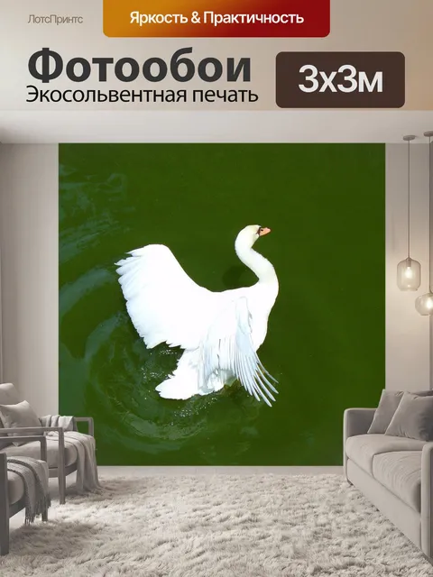 Фотообои Лебедь