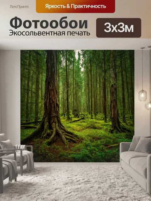 Фотообои глубокий лес с старинными деревьями и неожиданными прятками