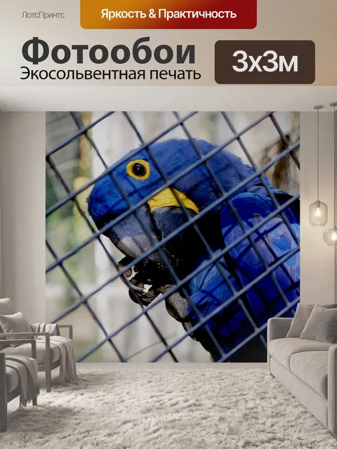 Фотообои Птица