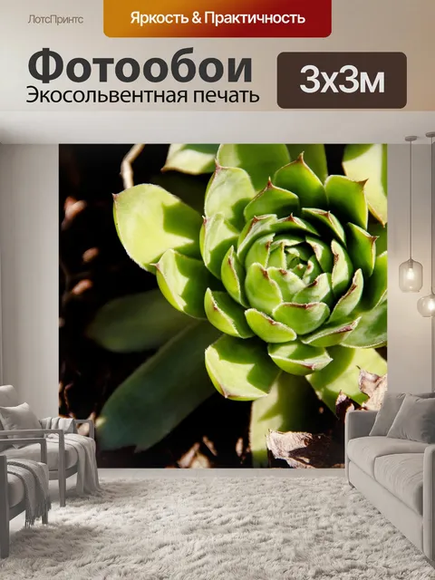 Фотообои Сад
