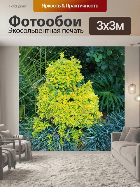 Фотообои ярко-зеленый кустарник
