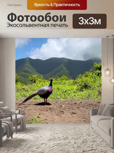 Фотообои цесарки, кормящиеся на фоне живописных холмов гваделупы, создают уюта спокойствия