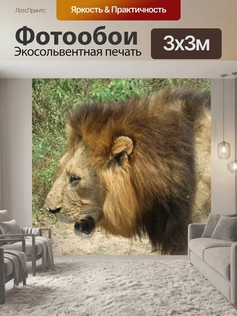 Фотообои Лев
