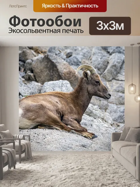 Фотообои Горный козел