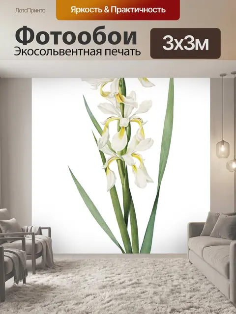Фотообои Винтажная цветочная иллюстрация