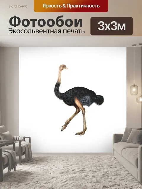 Фотообои Клипарт Ostrich animal vintage