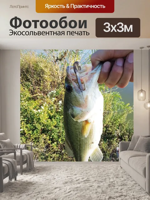 Фотообои Бас