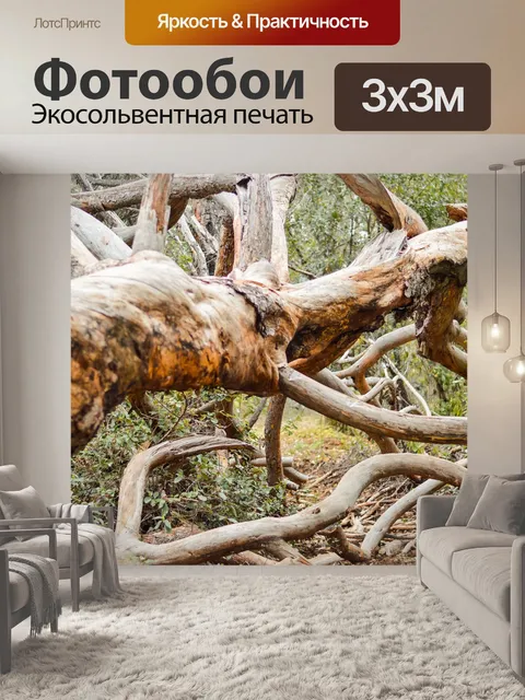 Фотообои Дерево