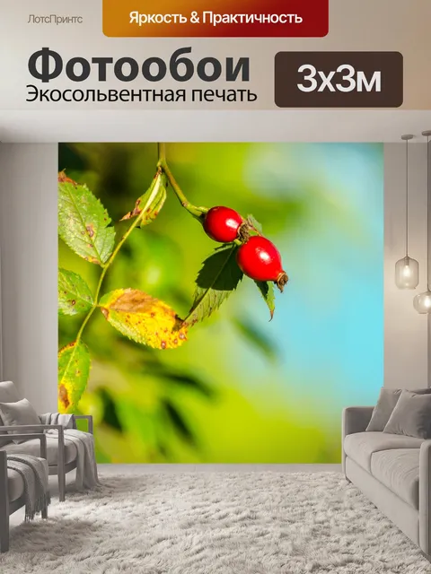 Фотообои Красные плоды шиповника