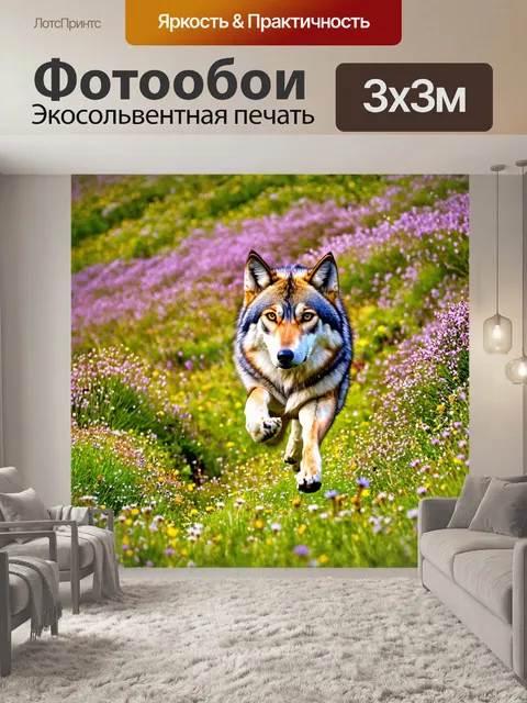 Фотообои вересковое поле, волчица, бежащая через цветы