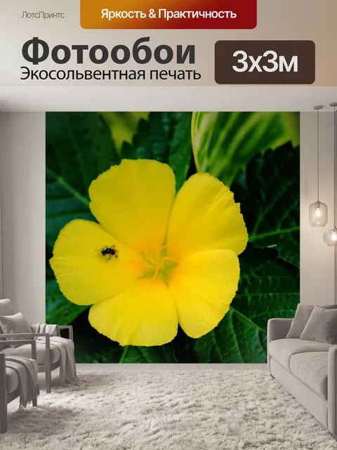 Фотообои Желтый цветок и пчела