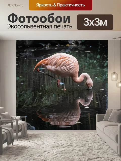 Фотообои Фламинго