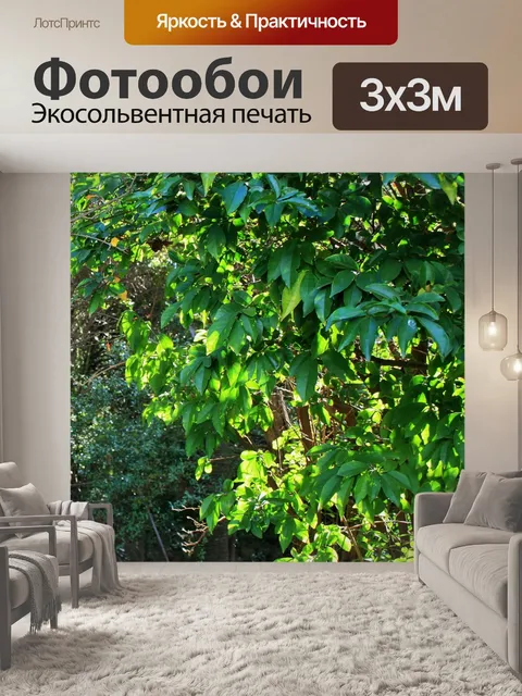 Фотообои солнечный свет на зеленых листьях
