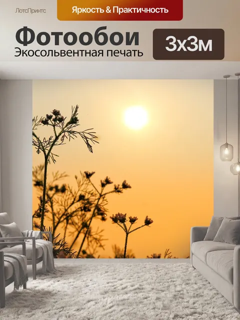 Фотообои Восход солнца