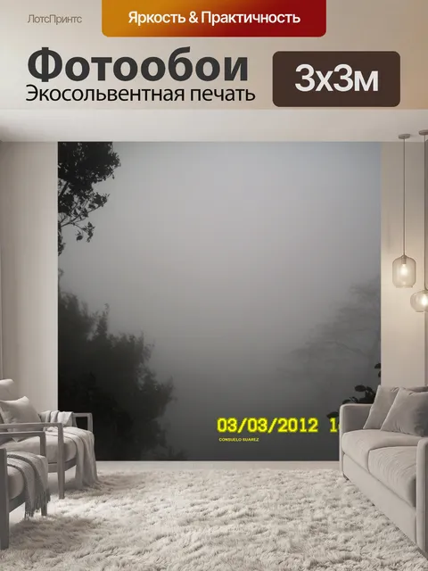Фотообои Туман в лесу
