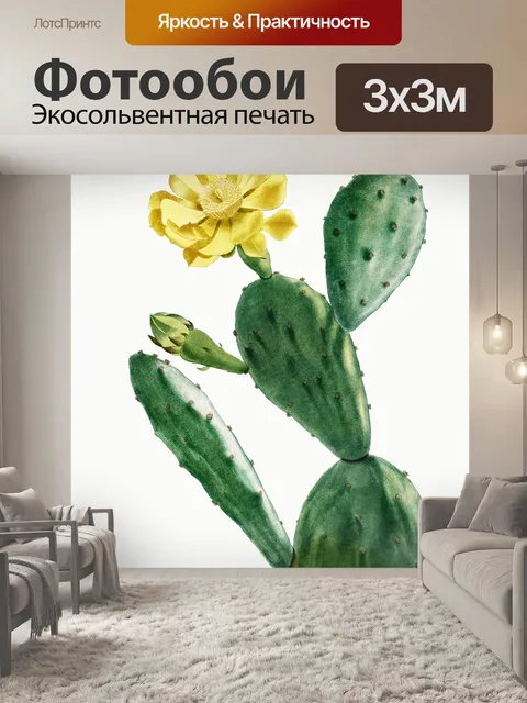 Фотообои Кактус cacti art vintage