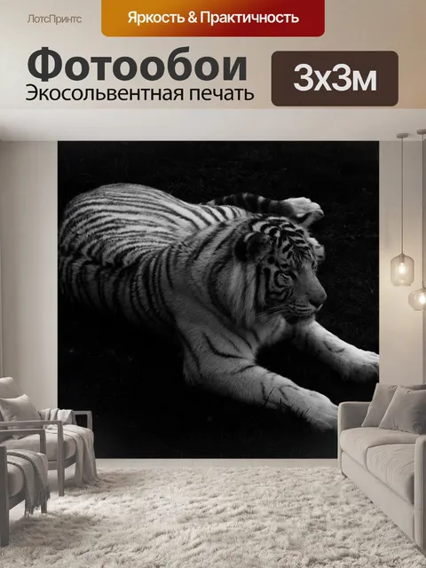 Фотообои Белый тигр