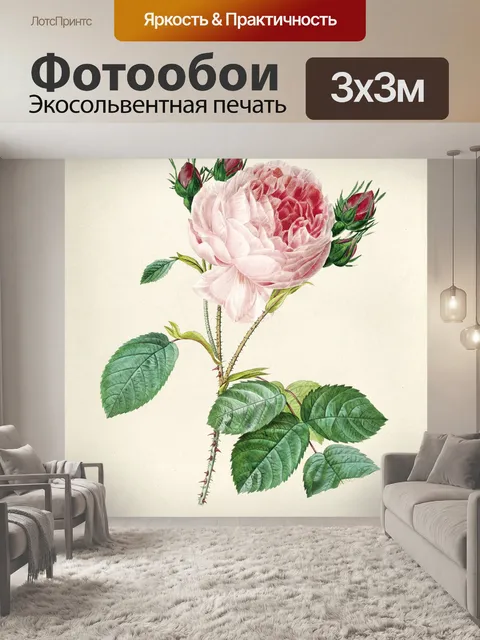 Фотообои Роза винтаж модерн старый
